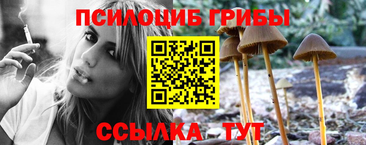 Псилоцибиновые грибы Cubensis Тула